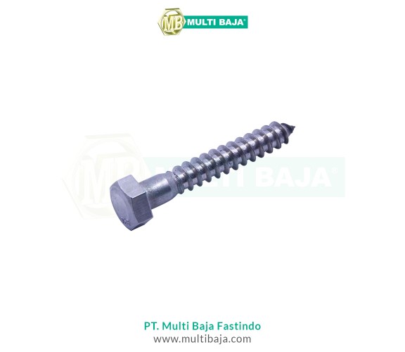 Stainless Steel : SUS 304 Lag Bolt SS18-8
